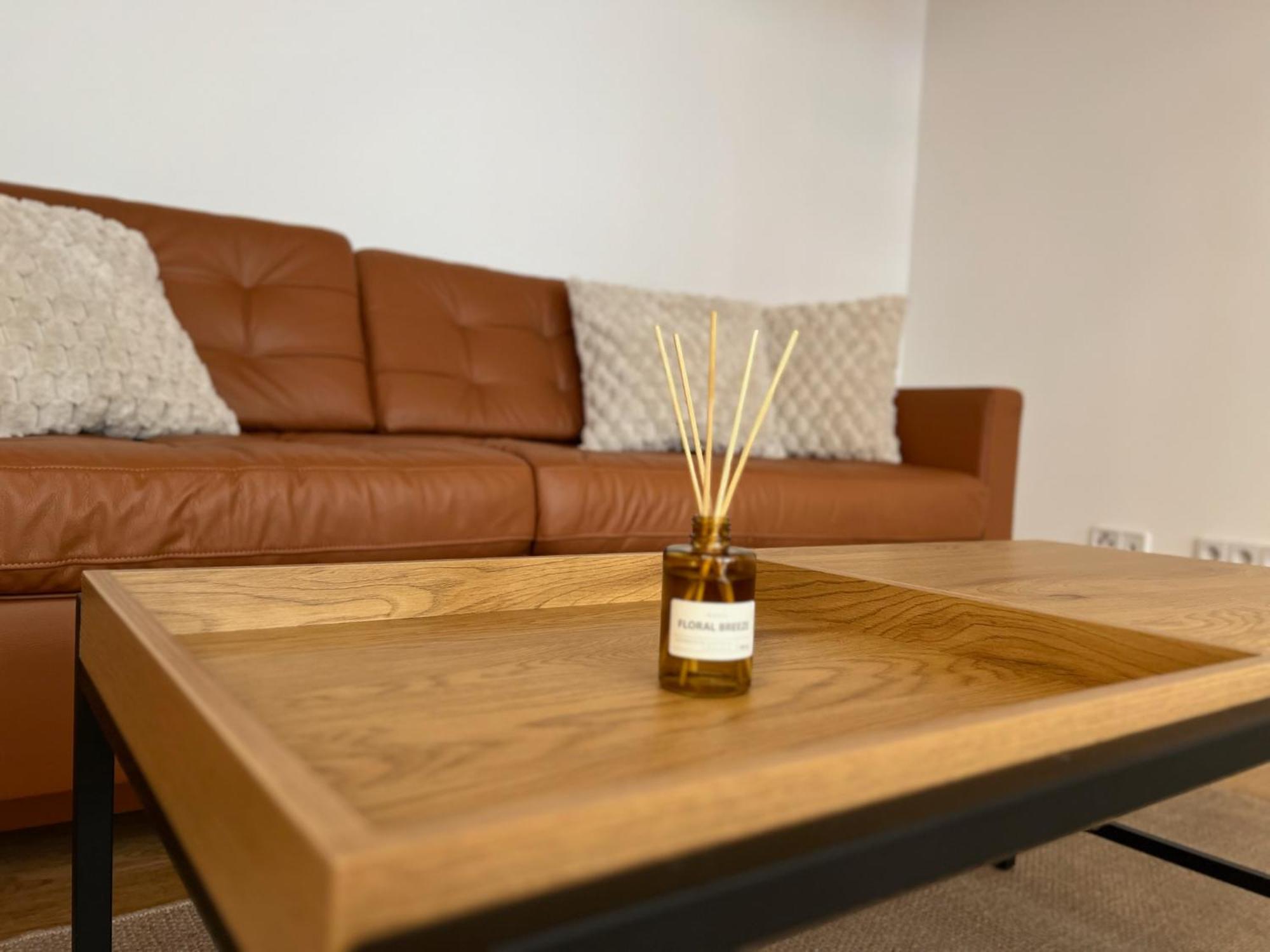 Neu! City-Loft-Apartment Im Goethe Palais I 5P I Lift I Parkplatz I Zentrum I Helios Aue  Exterior foto